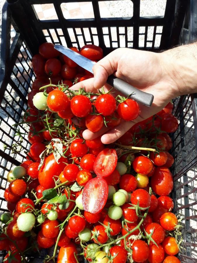 Agriturismo Il Pettirosso Agerola Zewnętrze zdjęcie